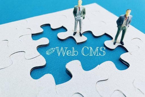 Wat is een CMS?